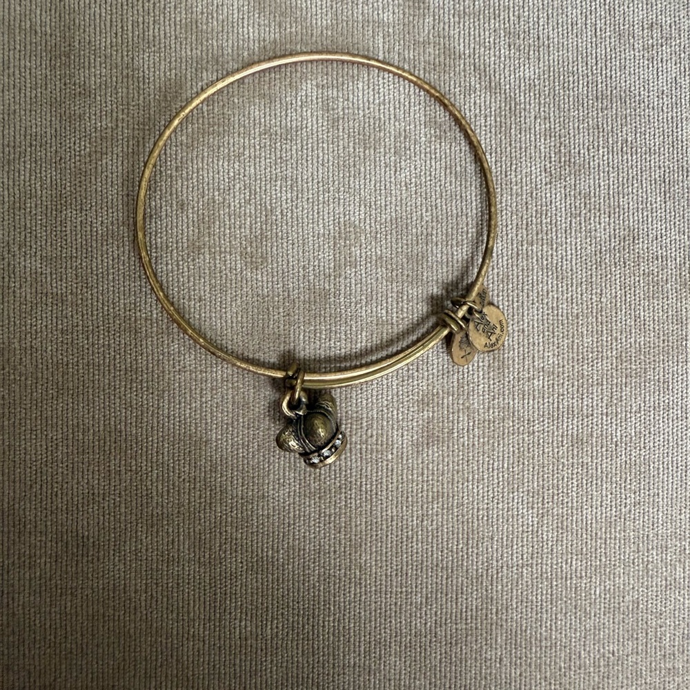 Alex and Ani Gold Adjustable Charm Bracelet